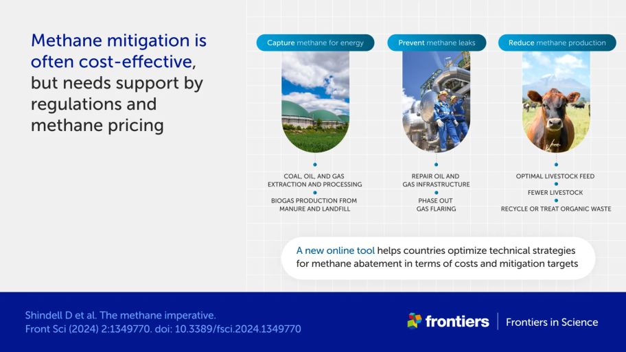 Infographic showing methods of methane mitigation, including capturing methane from fossil fuel operations and landfill for energy, preventing methane leaks in the fossil fuel industry, and reducing methane production by livestock and organic waste.